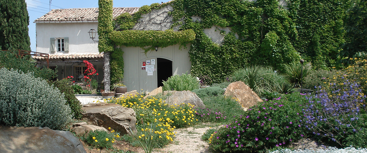 Organisation et plantation de végétaux, Paysagiste Nîmes